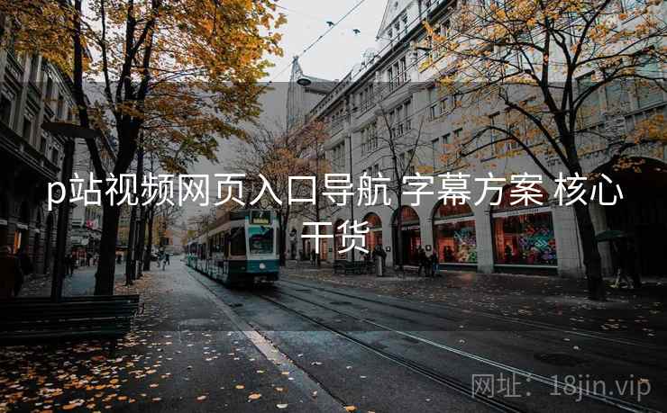 p站视频网页入口导航 字幕方案 核心干货 p站视频网页入口导航 字幕方案 核心干货