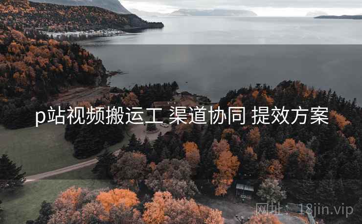 p站视频搬运工 渠道协同 提效方案