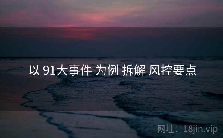 以 91大事件 为例 拆解 风控要点