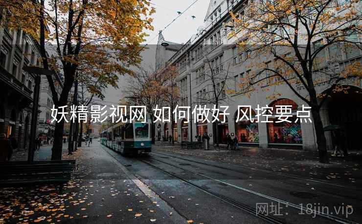 妖精影视网 如何做好 风控要点 妖精影视网 如何做好 风控要点